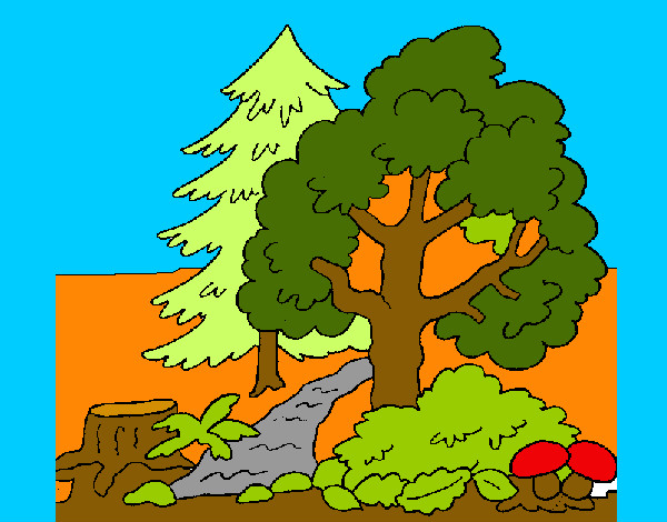 Desenho Bosque pintado por eduardo2