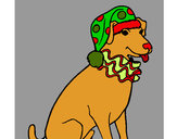Desenho Cão palhaço pintado por Rafa26