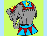 Desenho Elefante a actuar pintado por katiucia
