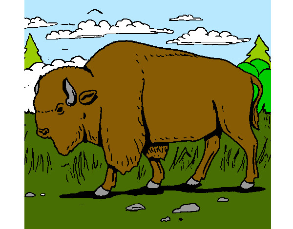 Desenho Búfalo pintado por clarab