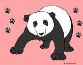 Desenho Urso panda pintado por ImShampoo