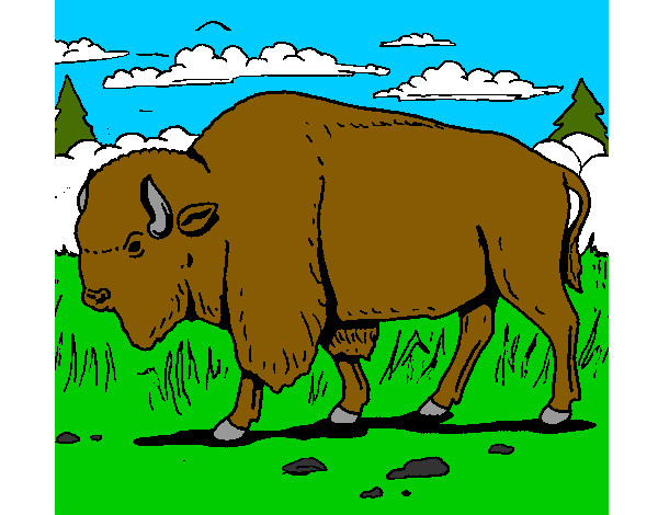 Desenho Búfalo pintado por leoforte