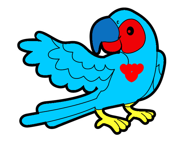 Desenho Papagaio abrir a asa pintado por gabyy