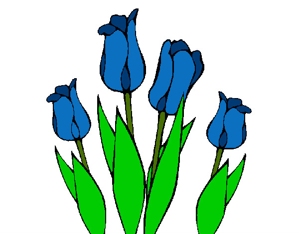 Desenho Tulipa pintado por tinha