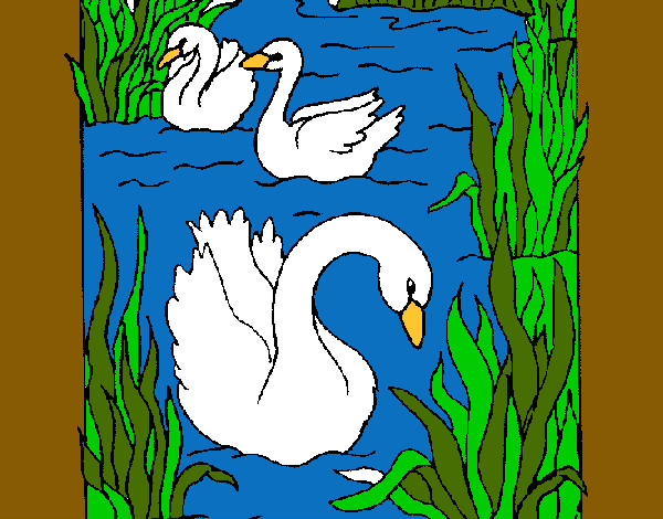 Desenho Cisnes pintado por luiza44