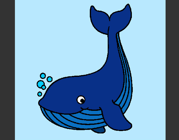Desenho Pequena baleia pintado por dedezinha