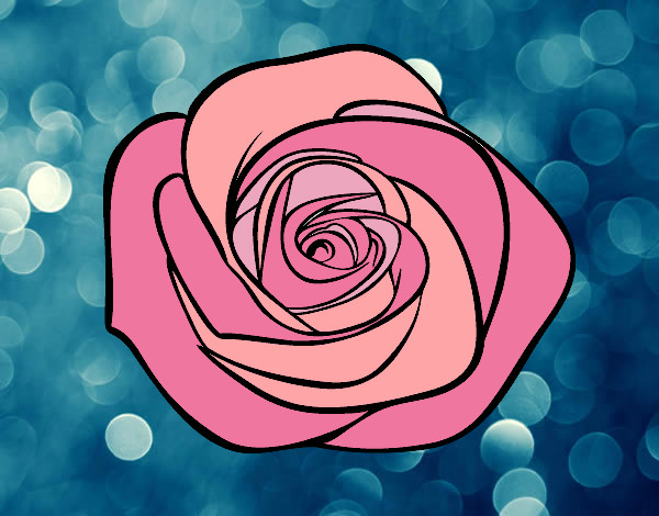 Desenho Flor de rosa pintado por ImShampoo