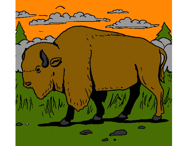 Desenho Búfalo pintado por CarrieWhit