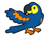 Desenho Papagaio abrir a asa pintado por lansttai