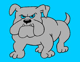 Desenho Cão Bulldog pintado por lansttai
