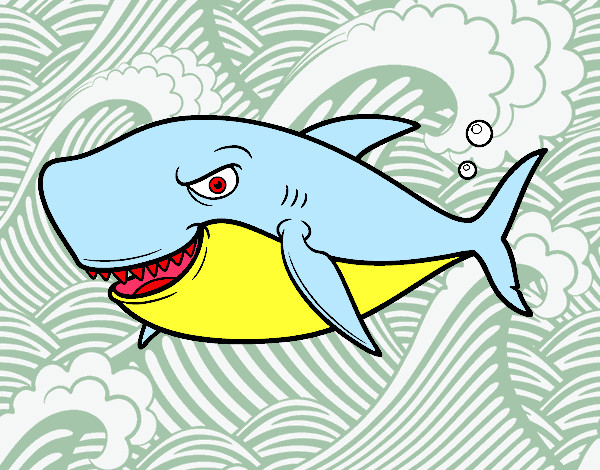 Desenho Tubarão dentuço pintado por fabiof