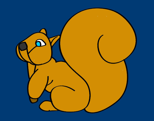 Desenho Esquilo com uma cauda grande pintado por GabiNigol