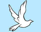Desenho Pomba da paz a voar pintado por Daph