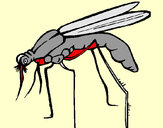 Desenho Mosquito pintado por Zangerolam