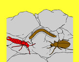 Desenho Vários insectos pintado por Zangerolam