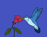 Desenho Colibri e uma flor pintado por RegisAssun