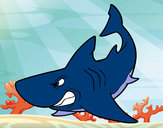 Desenho Tubarão furioso pintado por EnderLu
