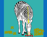 Desenho Zebra pintado por EnderLu