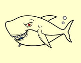 Desenho Tubarão dentuço pintado por lulima