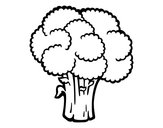 Desenho Verdura de brócolos pintado por RIKARDO