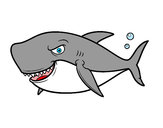 Desenho Tubarão dentuço pintado por furianegra