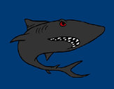 Desenho Tubarão pintado por rafa99