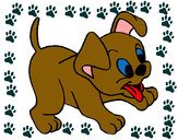 Desenho Cachorro pintado por sandramara