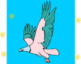Desenho Águia a voar pintado por victoria5