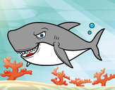 Desenho Tubarão dentuço pintado por tafnny