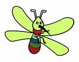 Mosquito com grandes asas