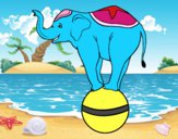 Desenho Elefante equilibrista pintado por lhayzlla