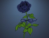 Desenho Uma rosa pintado por Missim