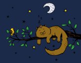 Desenho O gato ea luna pintado por Missim