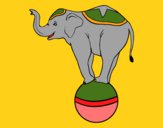 Desenho Elefante equilibrista pintado por shirloka