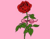 Desenho Uma rosa pintado por ritiii