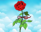 Desenho Uma rosa pintado por Wikelya