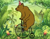 Urso em uma bicicleta