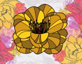 Desenho Papoula flor pintado por Missim