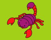 Scorpius com picada elevado