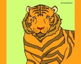 Desenho Tigre pintado por marilurdes