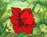 Desenho Flor de narciso pintado por Missim