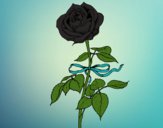 Desenho Uma rosa pintado por Missim