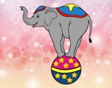 Desenho Elefante equilibrista pintado por ImShampoo