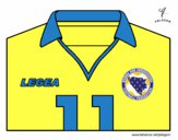 Camisa da copa do mundo de futebol 2014 da Bósnia e Herzegovina