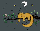 Desenho O gato ea luna pintado por Danguinha