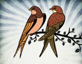 Desenho Par de pássaros pintado por Danguinha