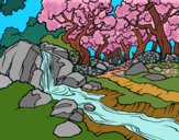 Desenho Paisagem da floresta com um rio pintado por ImShampoo