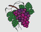 Desenho Cacho de uvas pintado por Danguinha