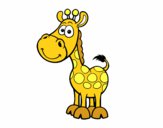 Girafa africana