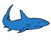 Desenho Um tubarão nadando pintado por yasmanu